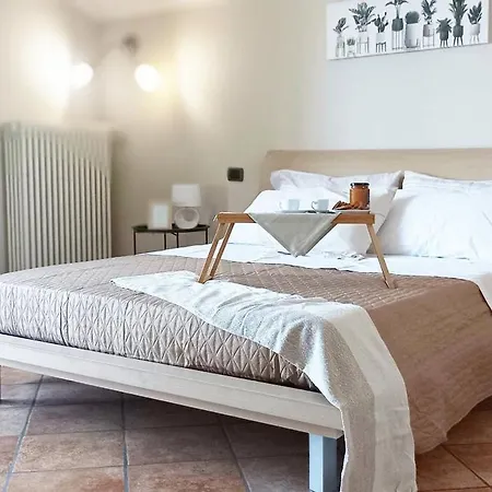 Quick Mimosa Alice Castello